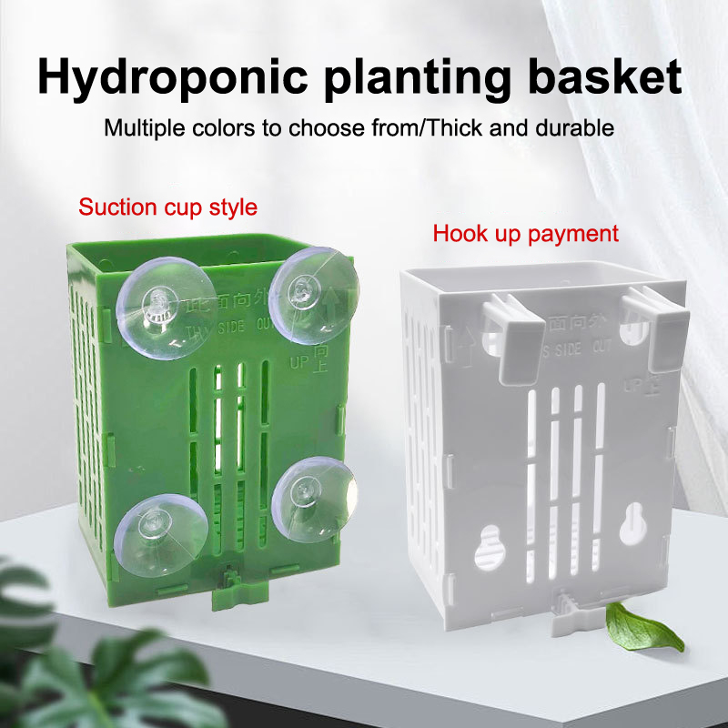 Planted Aquarium Aquascape - Hanging Suction Cup Hook Aquarium Plant