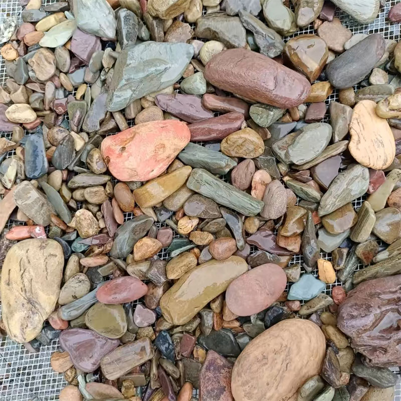 500g Fish Tank Bottom Sand Sto - Planted Aquarium With Sand ulasan dan harga