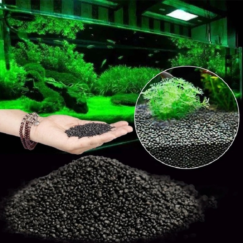 Fish Tank Water Grass Mud Plan - Planted Aquarium With Sand ulasan dan harga