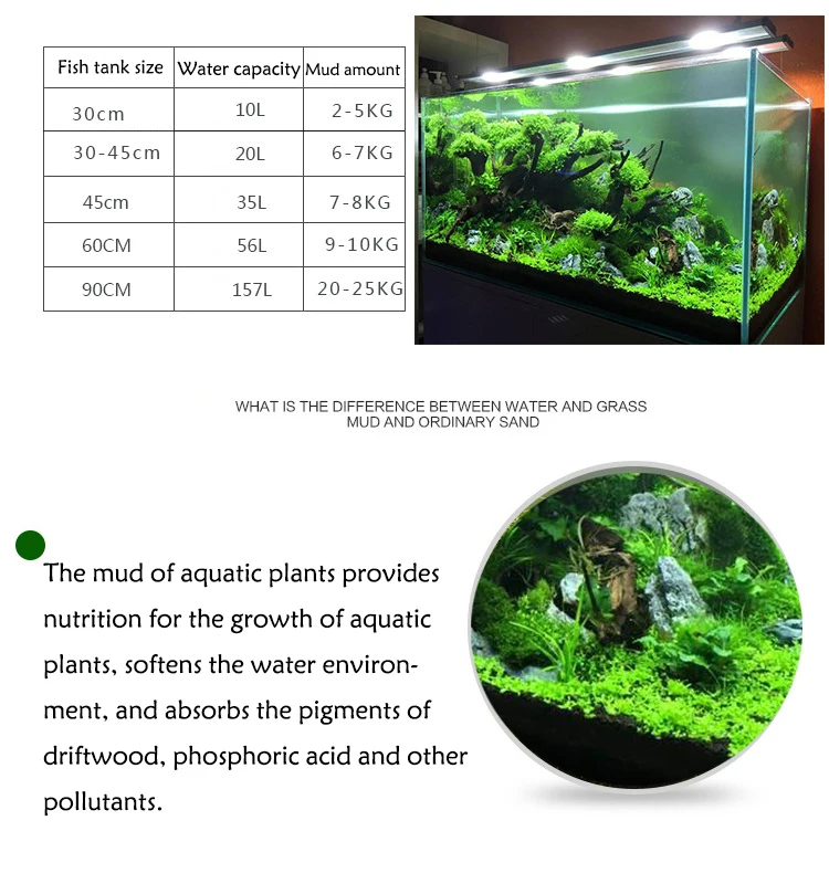 Fish Tank Water Grass Mud Plan - Planted Aquarium With Sand ulasan dan harga