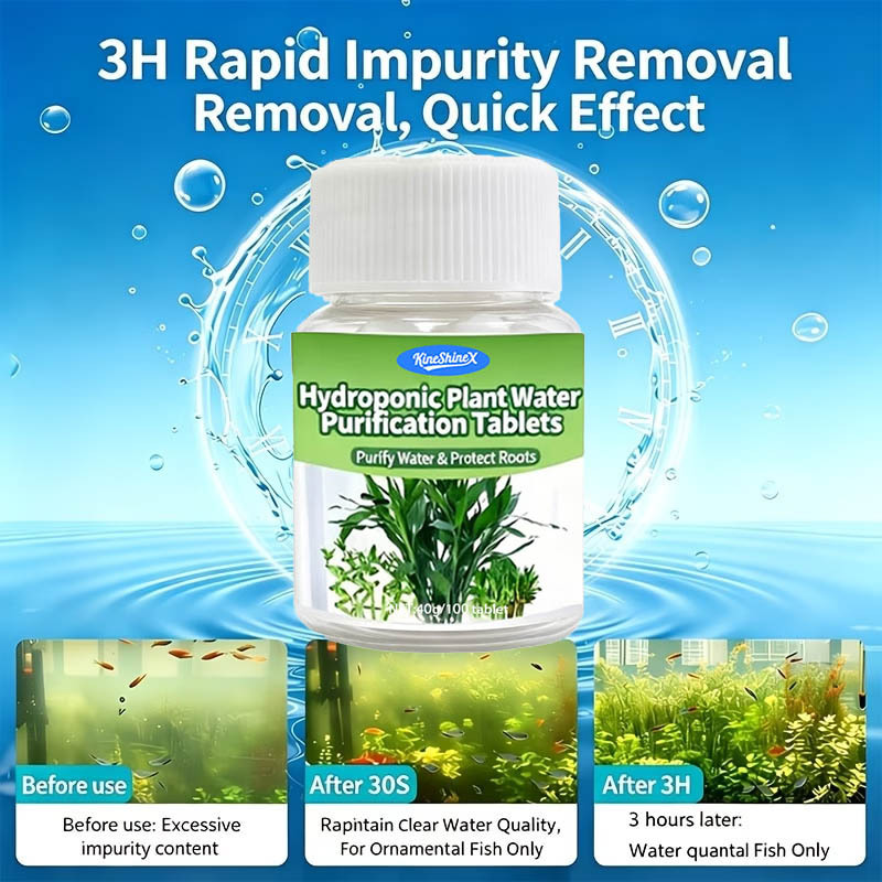 Hydroponic Water Purification  - Aquarium Plant Growth ulasan dan harga