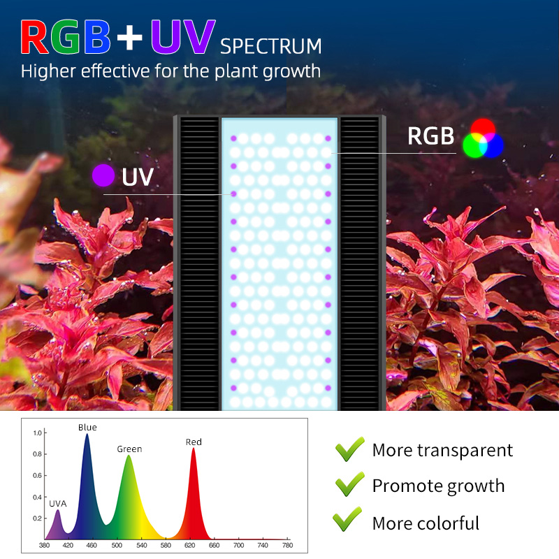 Week Aqua A430Pro LED Aquarium - Planted Aquarium Aquascape ulasan dan harga