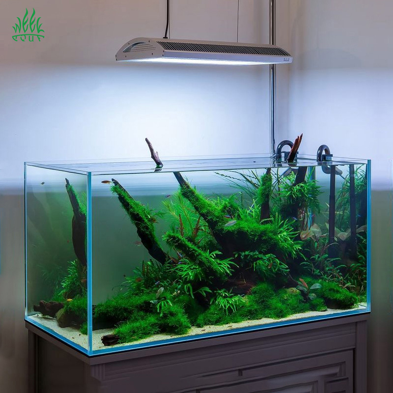 Week Aqua A430Pro LED Aquarium - Planted Aquarium Aquascape ulasan dan harga