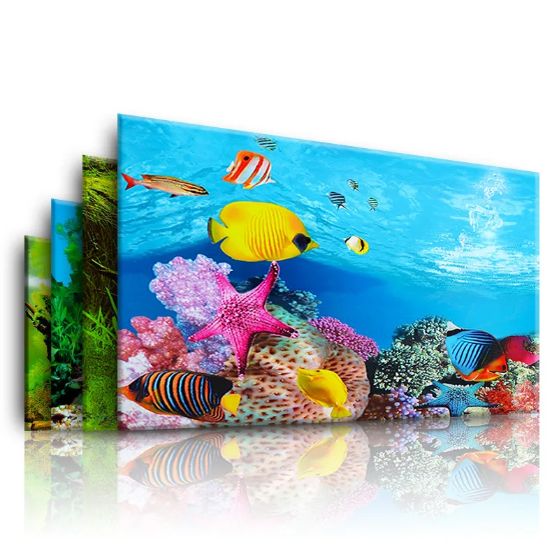 Background for Aquarium 3d  St - Planted Aquarium Aquascape ulasan dan harga