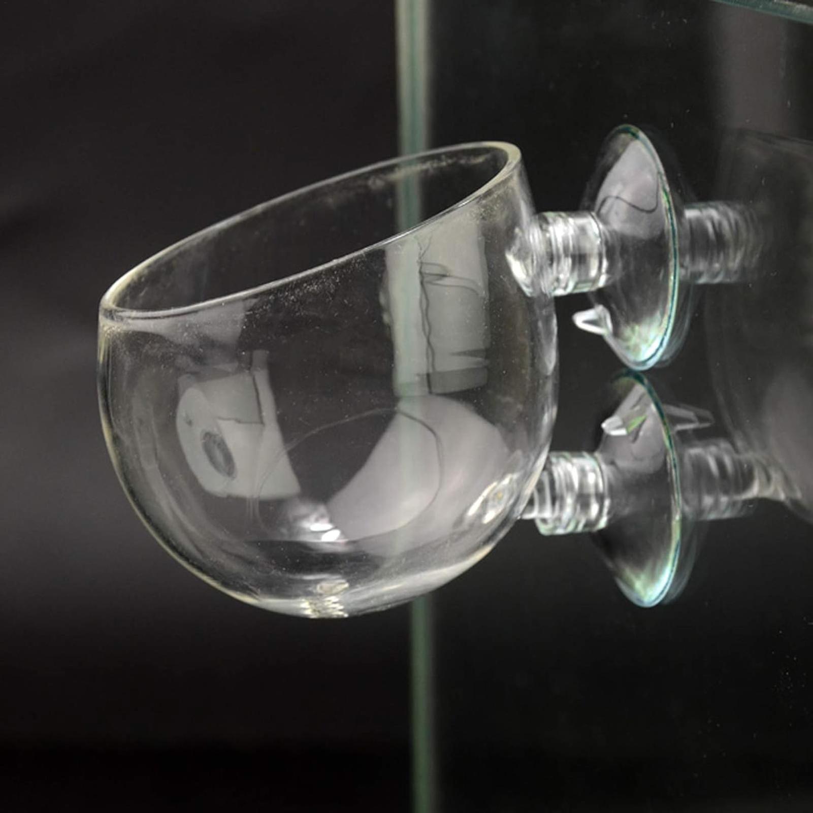 Aquarium Plant Holder Glass Aq - Planted Aquarium Aquascape ulasan dan harga