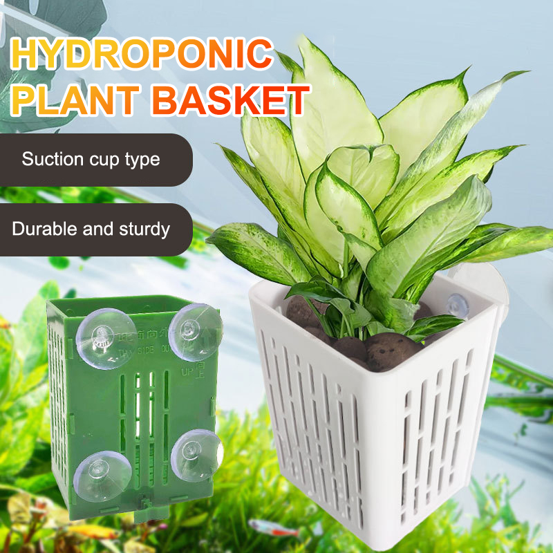 Hanging Suction Cup Hook Aquar - Planted Aquarium Aquascape ulasan dan harga