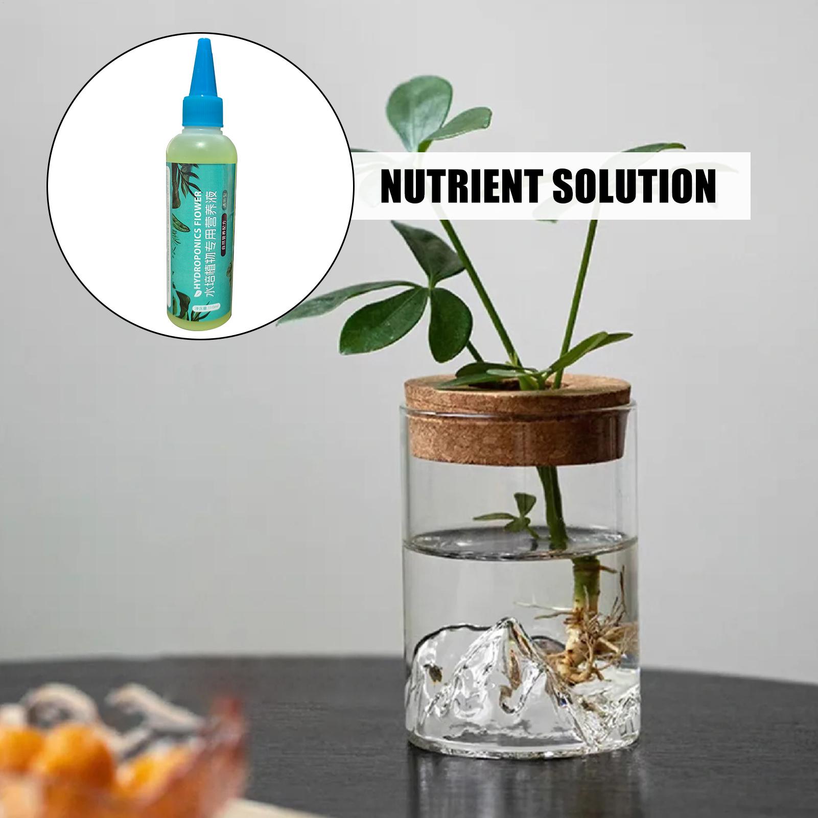 110ml Hydroponic Plant Food Li - Liquid Fertilizer All In ulasan dan harga