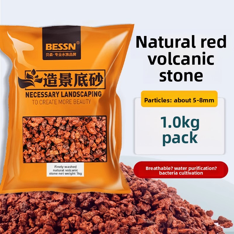 BESSN Volcanic Rock Aquarium S - Planted Aquarium With Sand ulasan dan harga