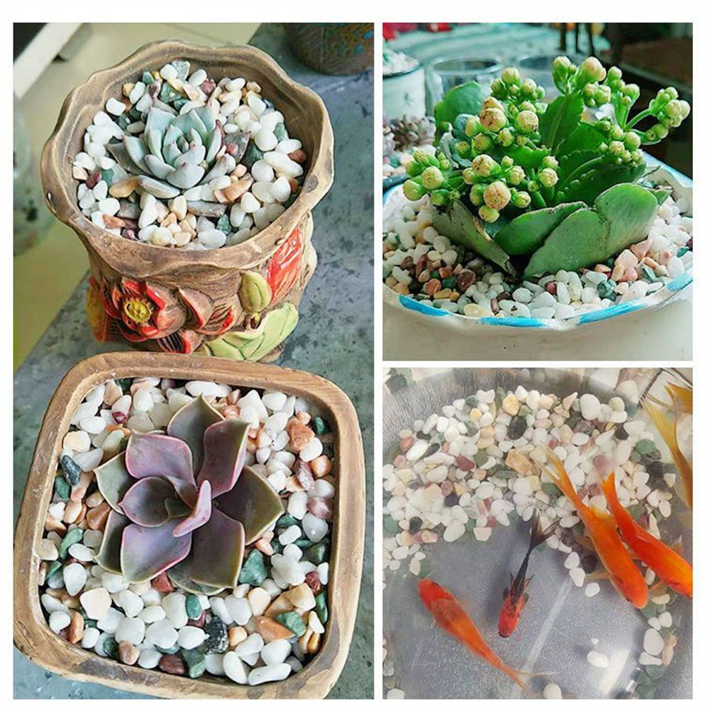 50/100g Natural Crystals Grave - Planted Aquarium With Sand ulasan dan harga