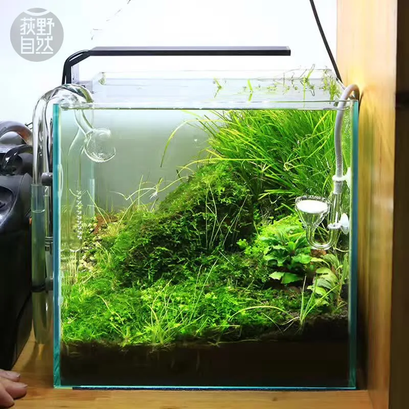 Chihiros C Series ADA Style Pl - Aquarium Plant Growth ulasan dan harga