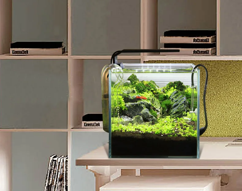 Chihiros C Series ADA Style Pl - Aquarium Plant Growth ulasan dan harga