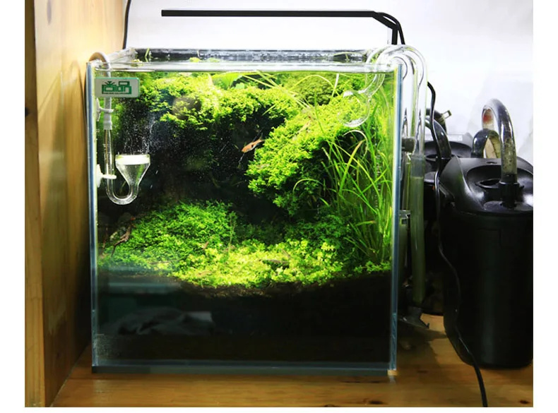 Chihiros C Series ADA Style Pl - Aquarium Plant Growth ulasan dan harga
