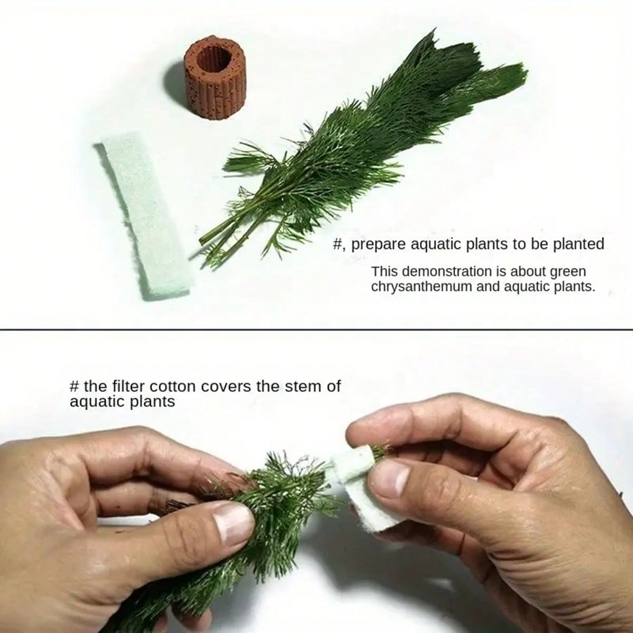 High   Quality Aquarium Plant  - Planted Aquarium Aquascape ulasan dan harga