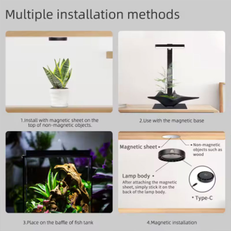WEEK AQUA Mag Pro Mag Max Nano - Aquarium Plant Ornament ulasan dan harga