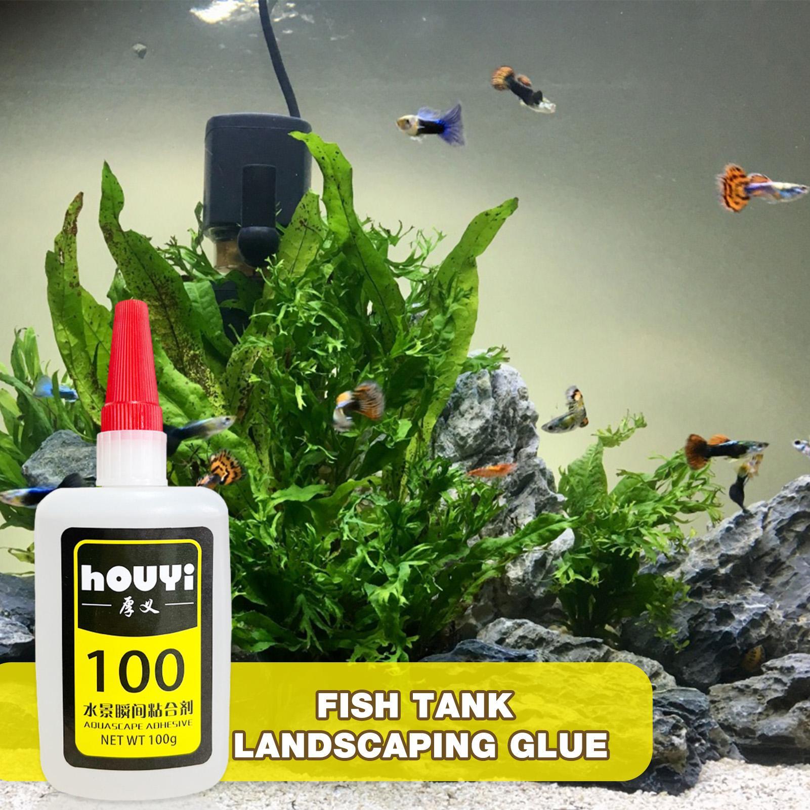 50/100g Clear Instant Glue Aqu - Planted Aquarium Aquascape ulasan dan harga