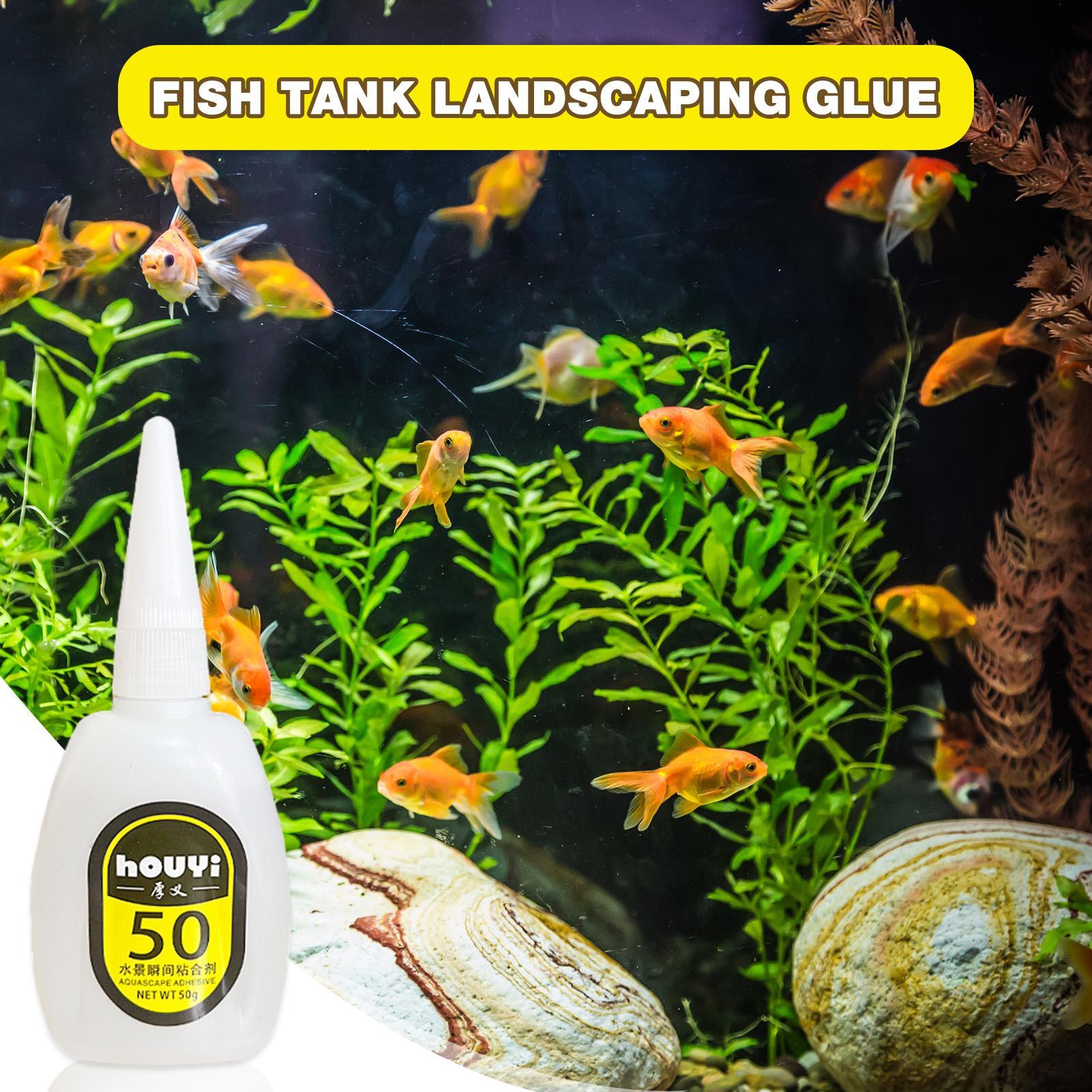 50/100g Clear Instant Glue Aqu - Planted Aquarium Aquascape ulasan dan harga