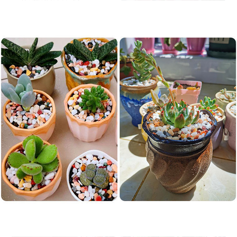 Natural Gravel Stone 200~1000g - Planted Aquarium With Sand ulasan dan harga