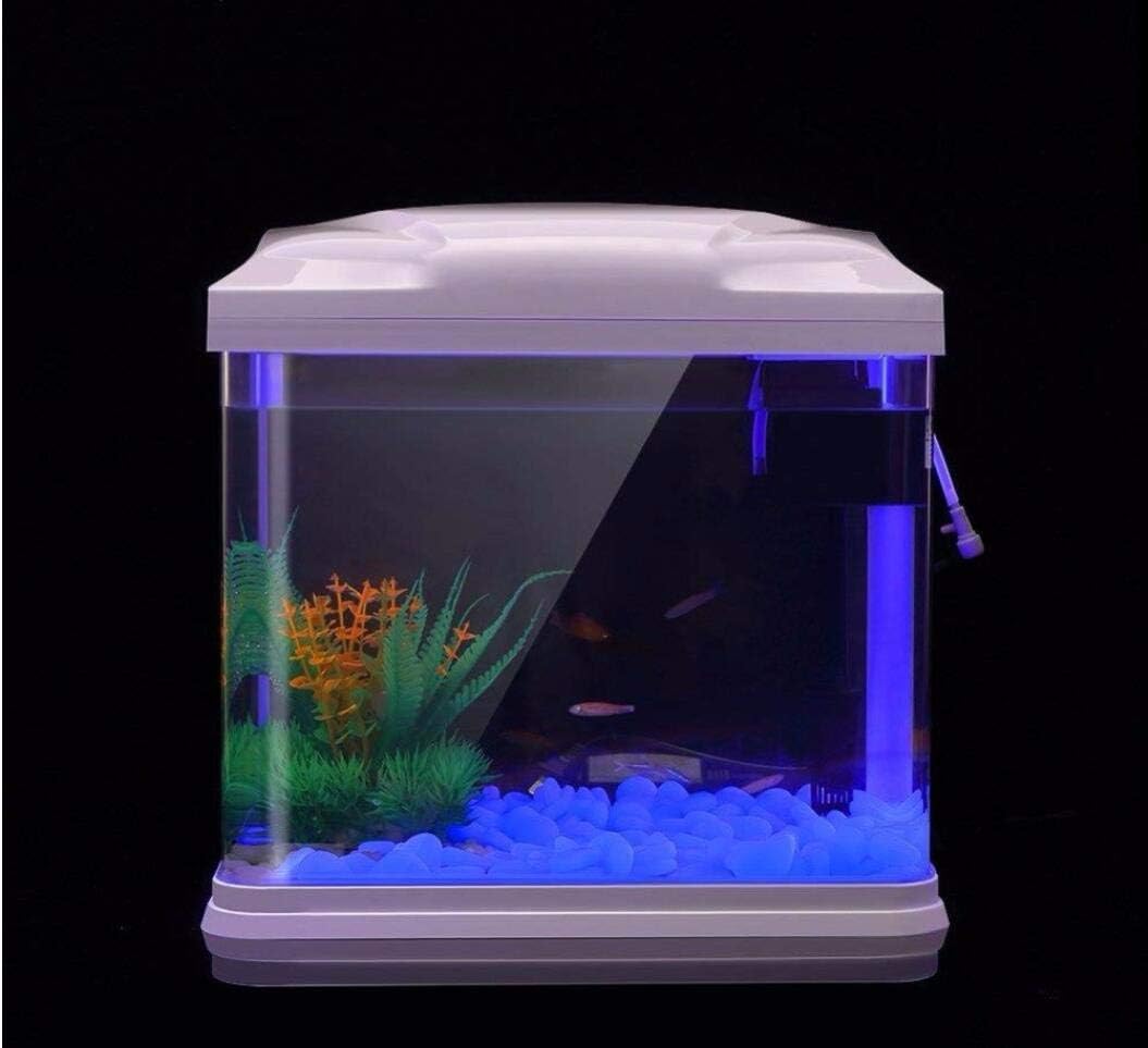Fish Tank Rocks Glow Blue Pebb - Aquarium Plant Growth ulasan dan harga