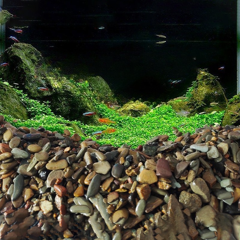 Stream Pebbles Aquarium Bottom - Planted Aquarium With Sand ulasan dan harga