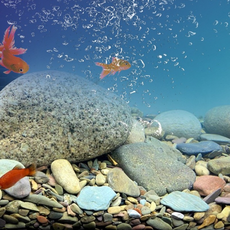 Stream Pebbles Aquarium Bottom - Planted Aquarium With Sand ulasan dan harga