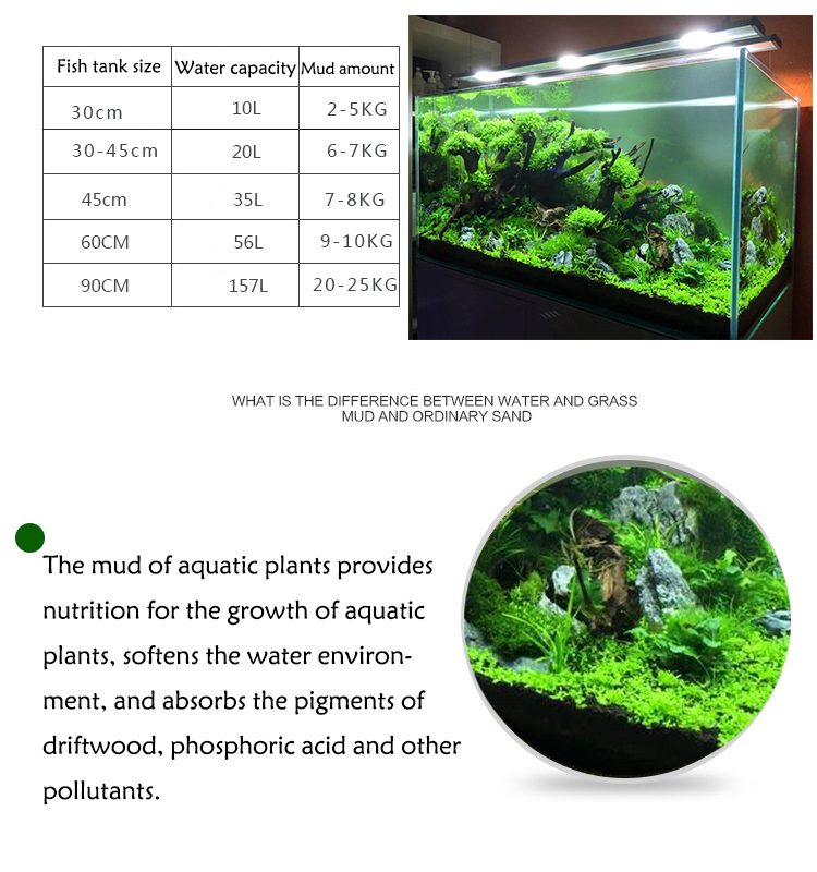 Aquarium Plant Seeds Soil Fish - Aquarium Plant Growth ulasan dan harga