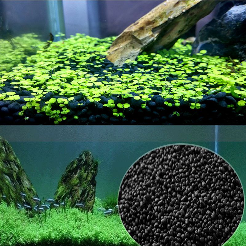 Fish  Sand Auarium Substrate 1 - Planted Aquarium With Sand ulasan dan harga