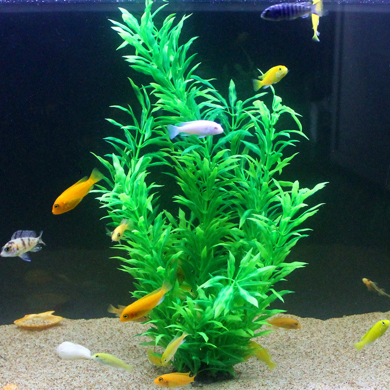 50CM Artificial Fish Tank Rare - Aquarium Plant Ornament ulasan dan harga
