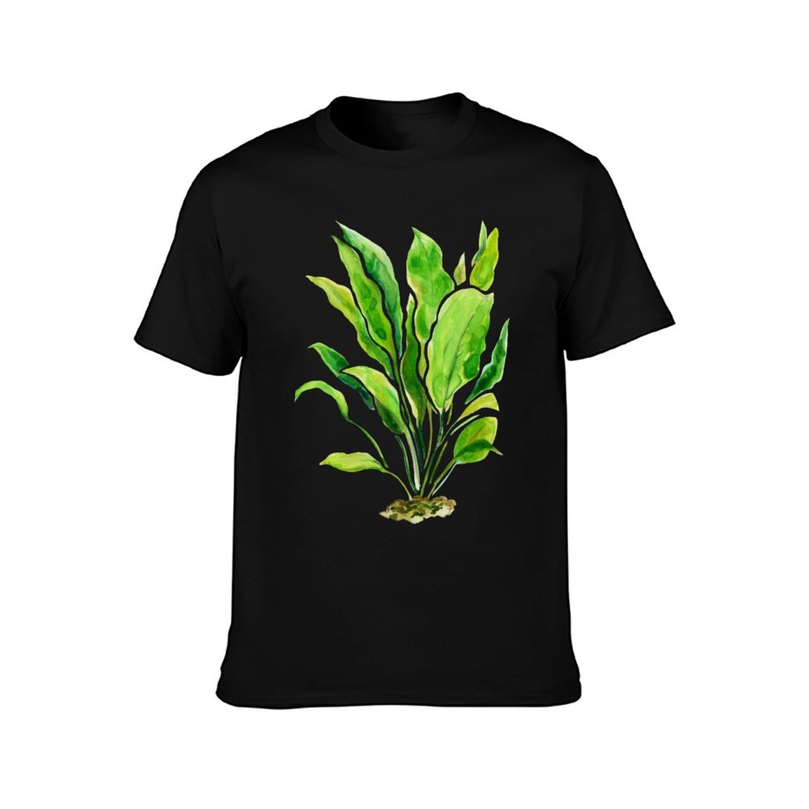 Aquarium Plants Series Amazon  - Planted Aquarium Basics ulasan dan harga