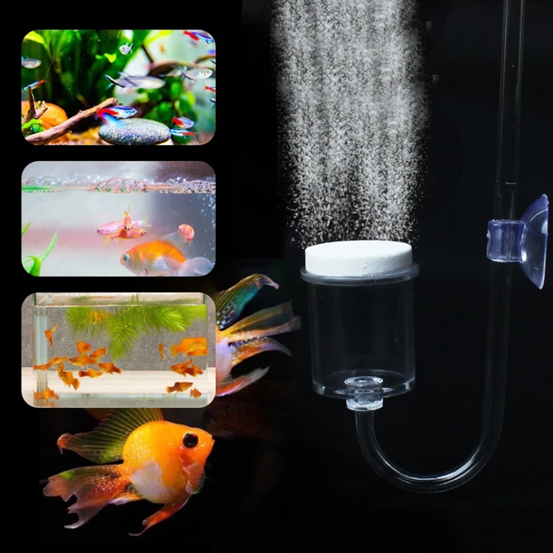 4pcs Set DIY CO2 Diffuser For  - Planted Aquarium Aquascape ulasan dan harga