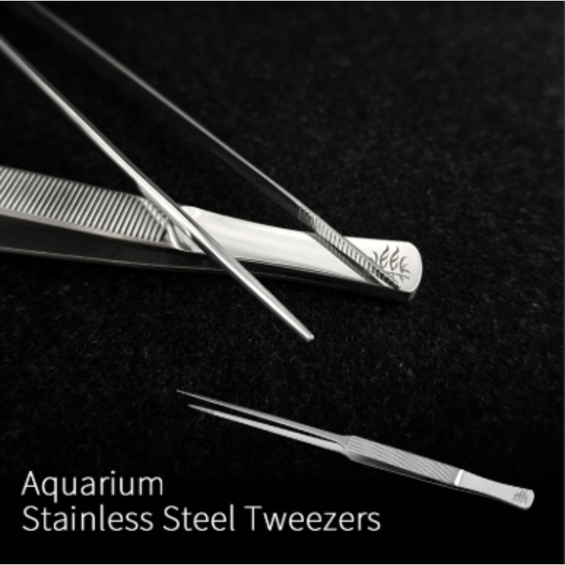 Week Aqua Stainless Steel Aqua - Planted Aquarium Aquascape ulasan dan harga