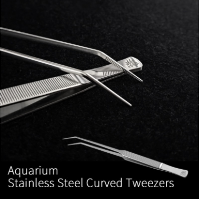 Week Aqua Stainless Steel Aqua - Planted Aquarium Aquascape ulasan dan harga